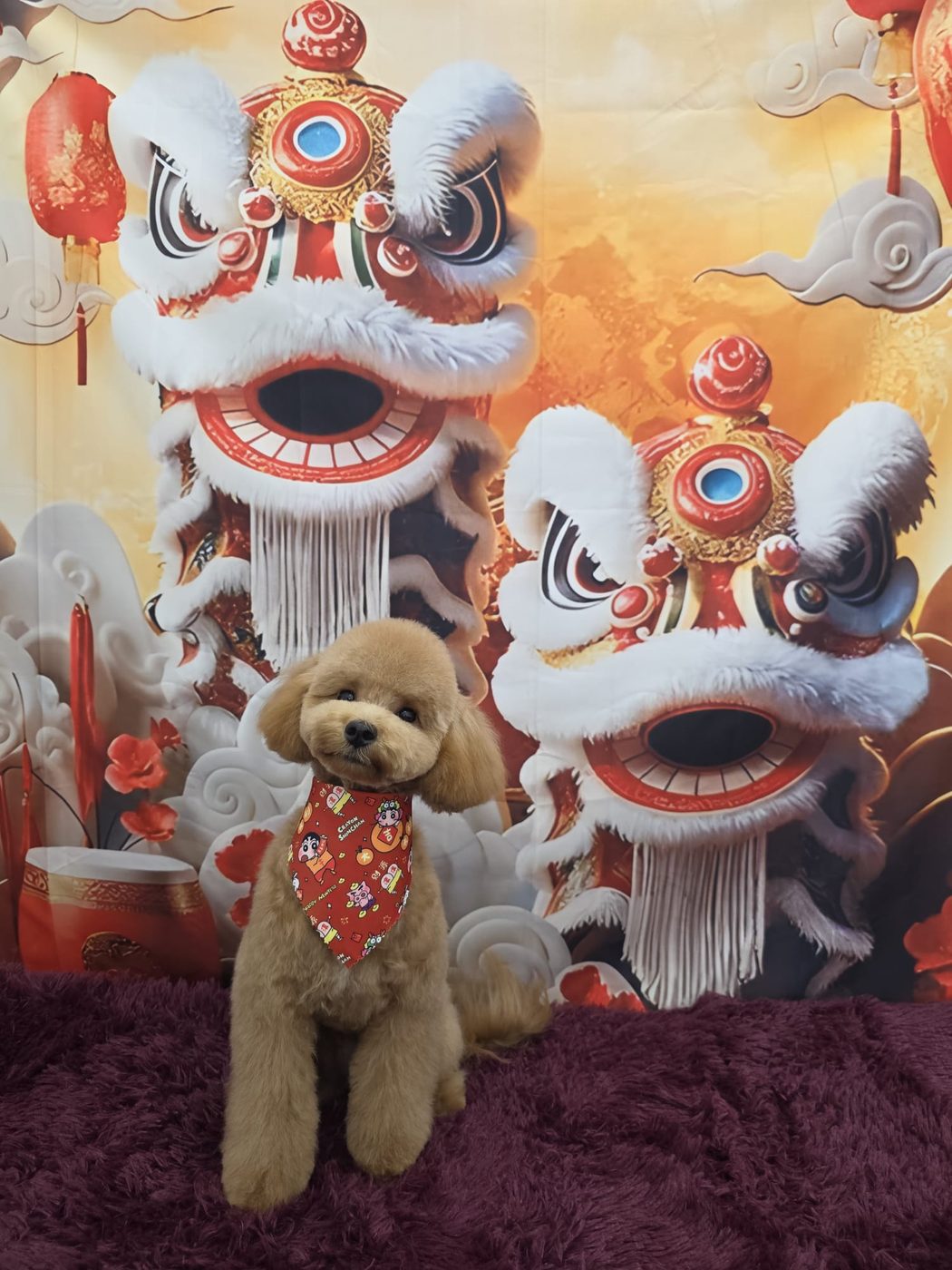 Chinese New Year lion-dance session